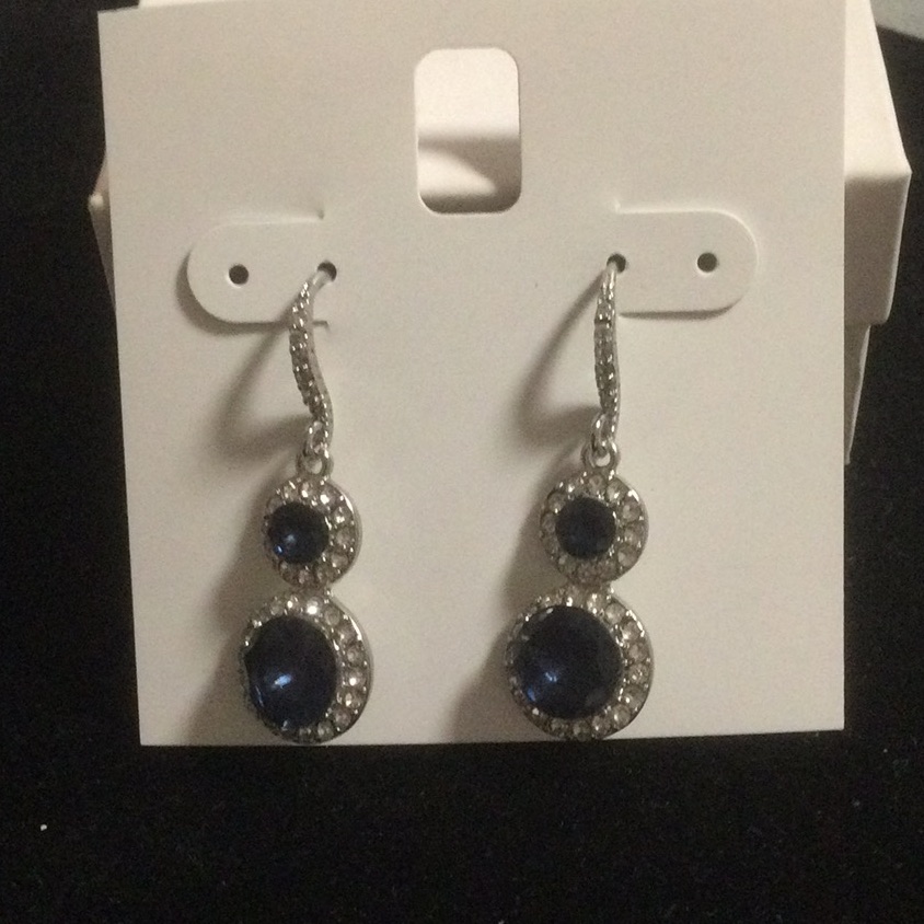 Elegant Silver And Blue Dangle Earrings